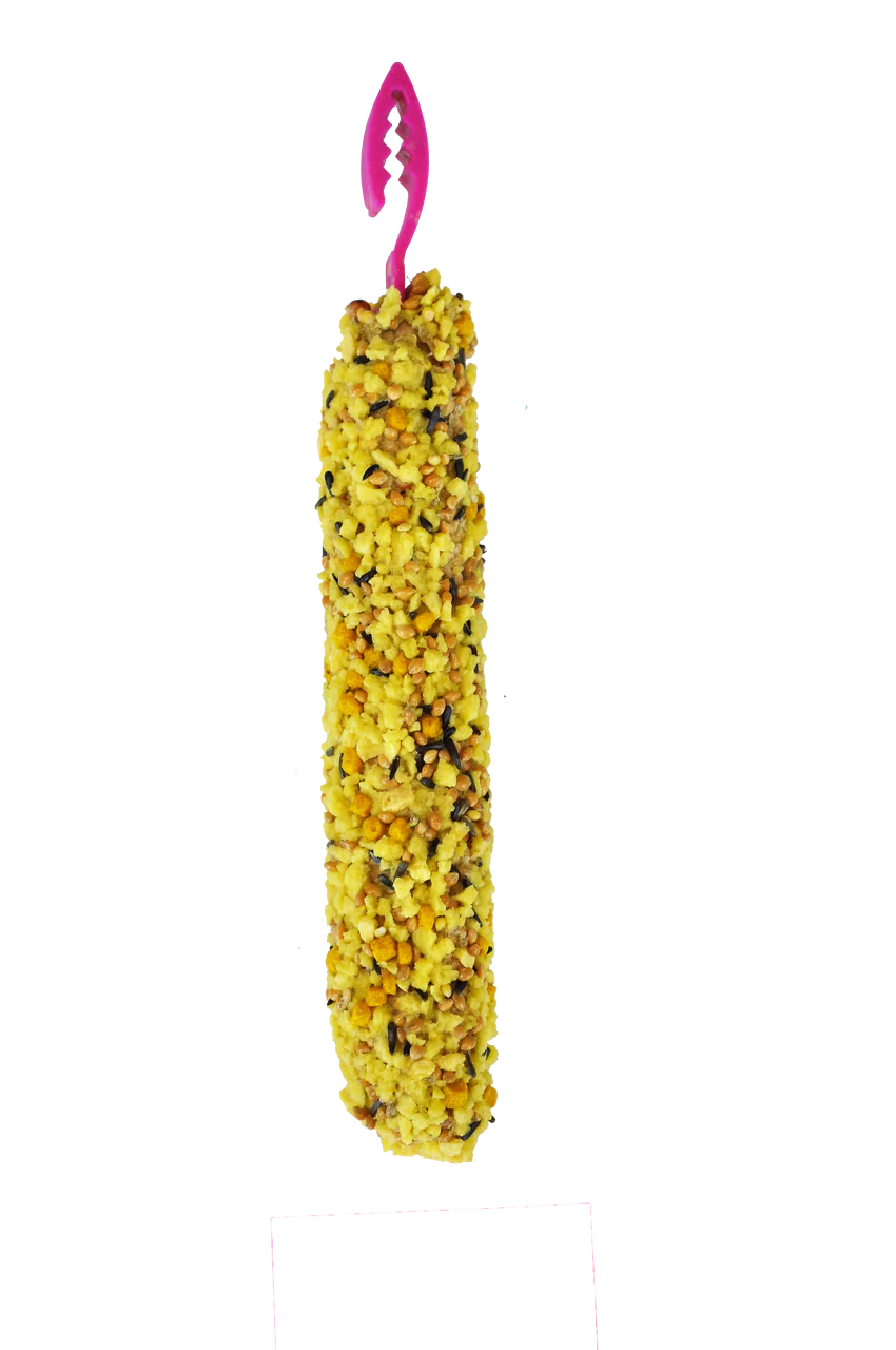 A & E Cages Smakers Snack Egg Treat Stick for Parakeets 2.82 oz 2 Count