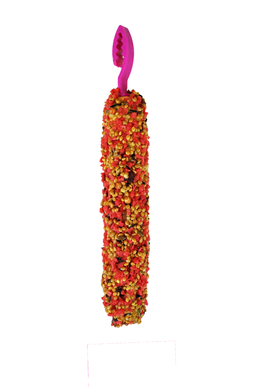A & E Cages Smakers Snack Strawberry Treat Stick for Parakeets 3.17 oz 2 Count