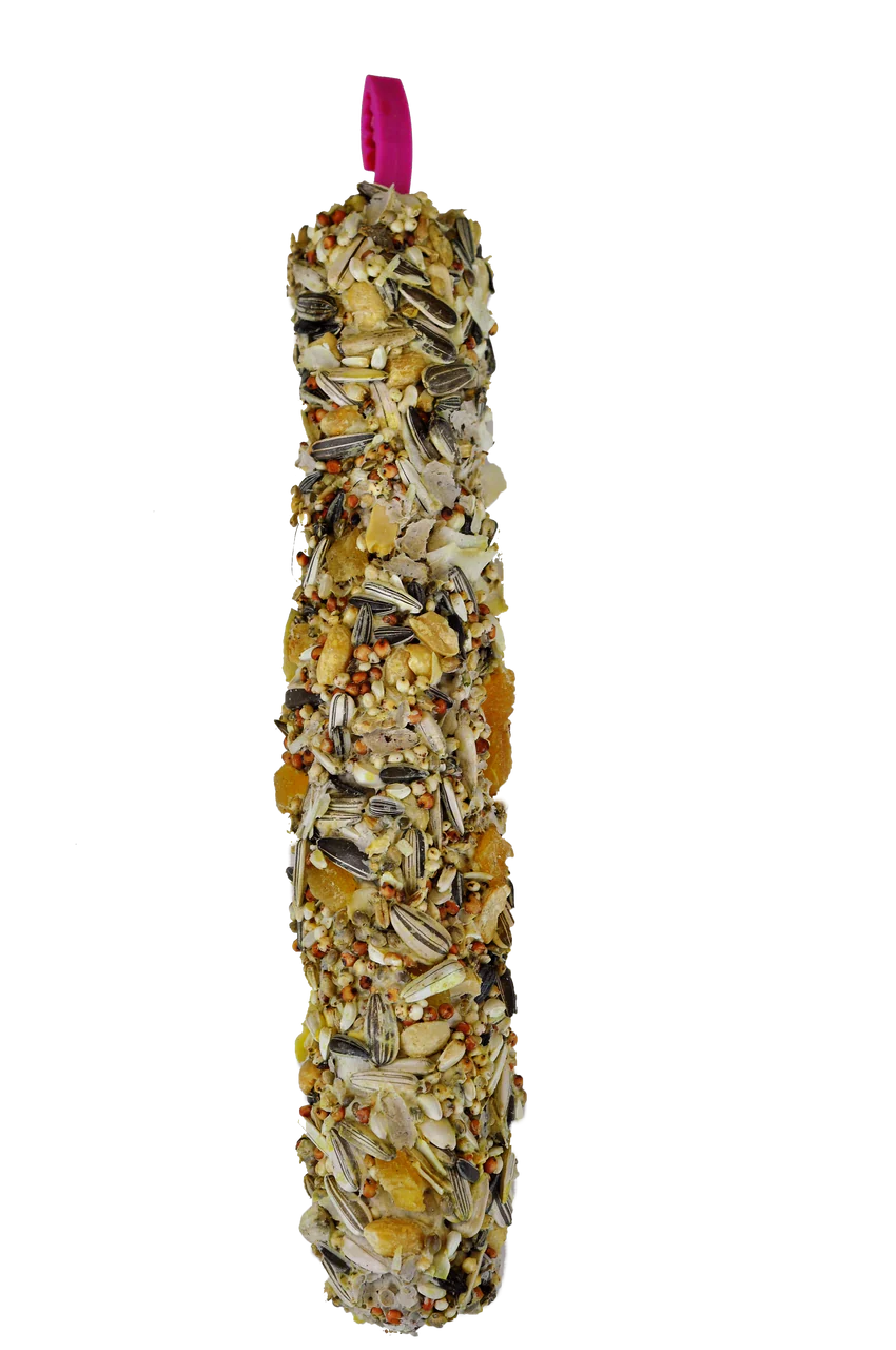 A & E Cages Smakers Snack Maxi Nut & Coconut Treat Stick for Parrots 450 g 2 Count