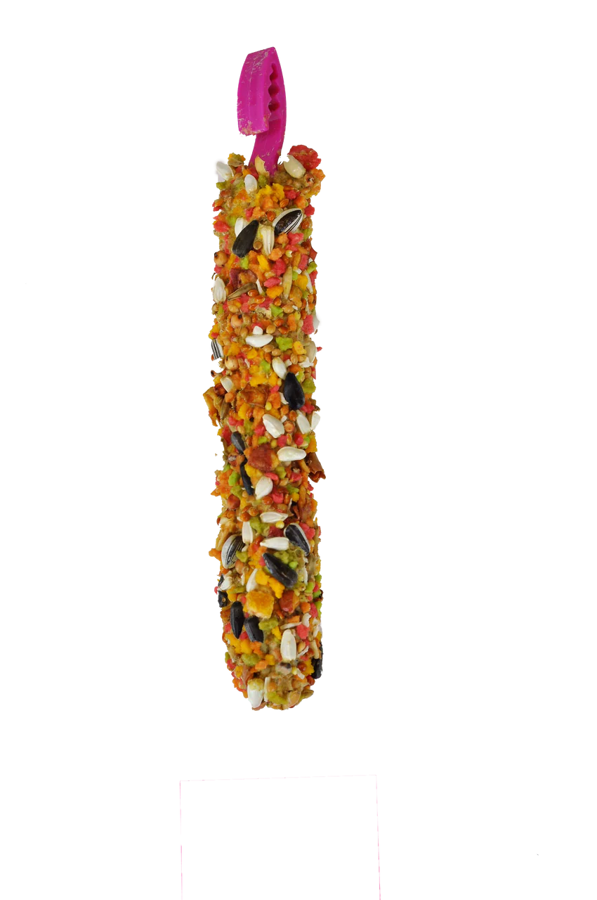 A & E Cages Smakers Snack Fruit Treat Stick for Cockatiels 3.17 oz 2 Count