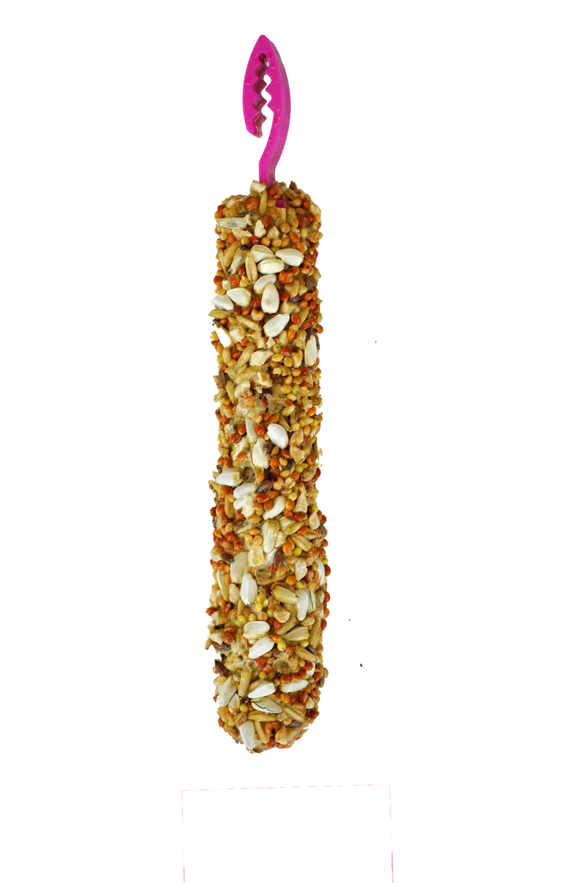 A & E Cages Smakers Snack Nut Treat Stick for Cockatiels 3.17 oz 2 Count