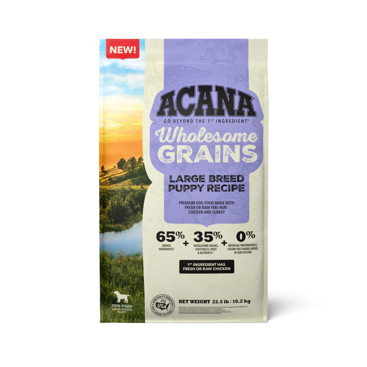 Acana Wholesome Grains Large Breed Dry Puppy Food Chicken & Turkey 22.5 lb