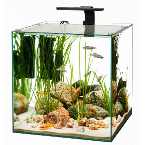 Aqueon Frameless Cube Aquarium 14 - Image 2