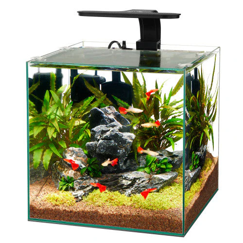 Aqueon Frameless Cube Aquarium 6 - Image 2