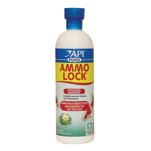 API Pond Ammo-Lock Ammonia Detoxifier 16 fl. oz - Image 2