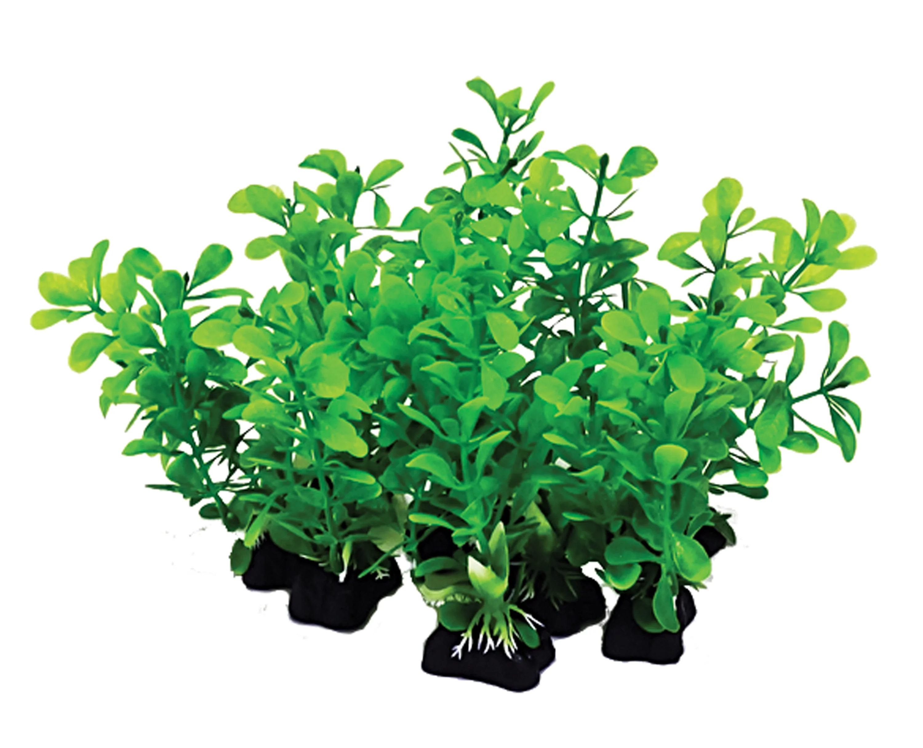 Aquatop Aquarium Plants Mix Green 6 in, 12 pk
