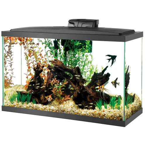 Aqueon Pre-Priced LED Aquarium Kit 29 SD-3 - Image 2