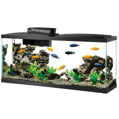 Aqueon Aquarium Starter Kit with LED Lighting Size 55 SD-3 - Image 2