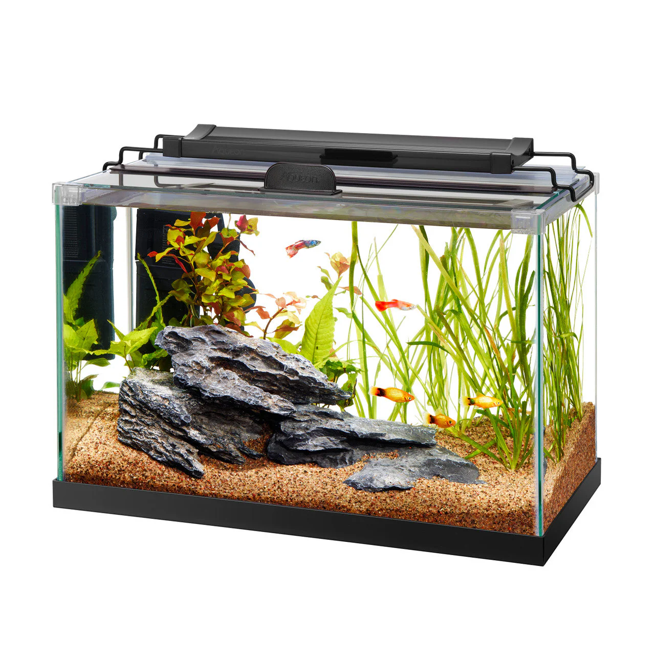 Aqueon Rimless Rectangle Aquarium 5.5 - Image 2