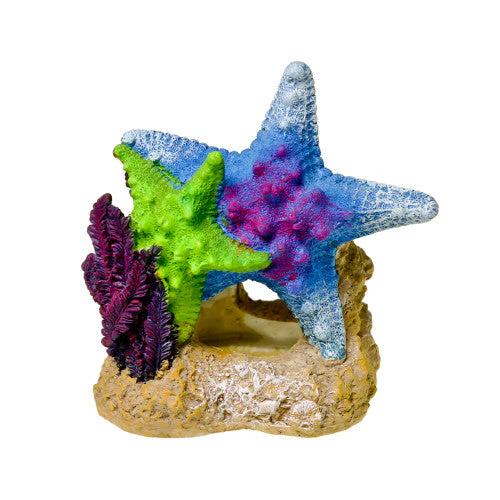 Blue Ribbon Exotic Environments Sea Star Duo Aquarium Ornament with Plant Multi-Color 4.5 in - Image 2