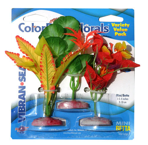 Blue Ribbon Colorburst Florals Betta Plants Variety Pack Mini - Image 2