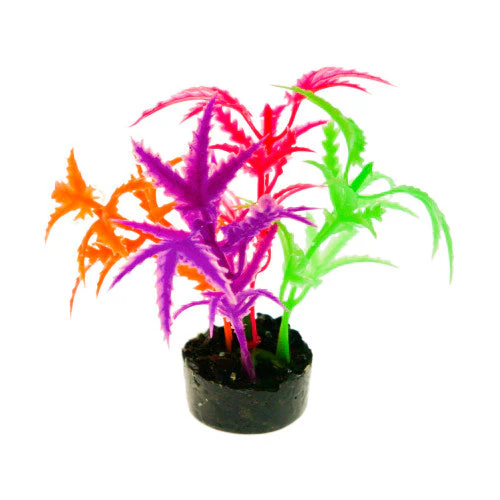 Blue Ribbon ColorBurst Florals Jagged Sword Aquarium Plant Orange, Red, Purple, Green 3.25 in - Image 2