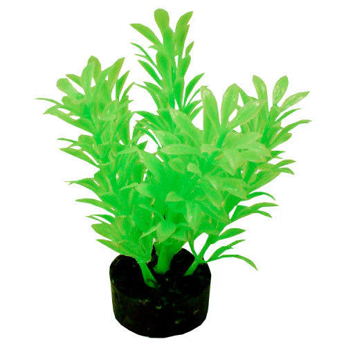 Blue Ribbon ColorBurst Florals Exotic Aquarium Plant Neon Green 4 in - Image 2