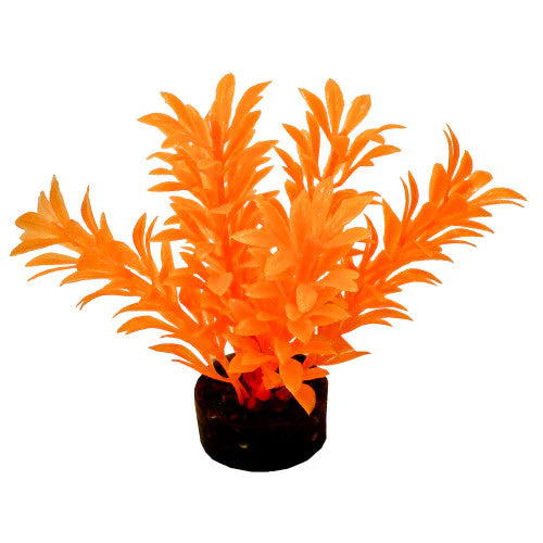 Blue Ribbon ColorBurst Florals Exotic Aquarium Plant Neon Orange 4 in - Image 2