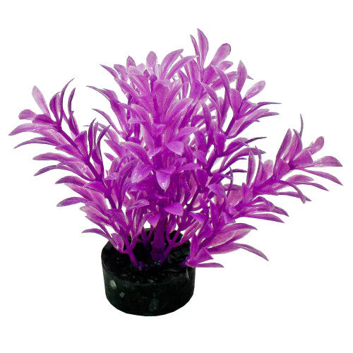 Blue Ribbon ColorBurst Florals Exotic Aquarium Plant Neon Purple 4 in - Image 2