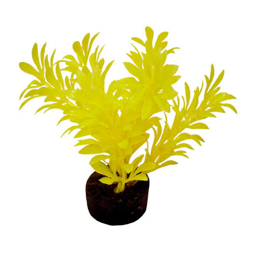 Blue Ribbon ColorBurst Florals Exotic Aquarium Plant Neon Yellow 4 in - Image 2