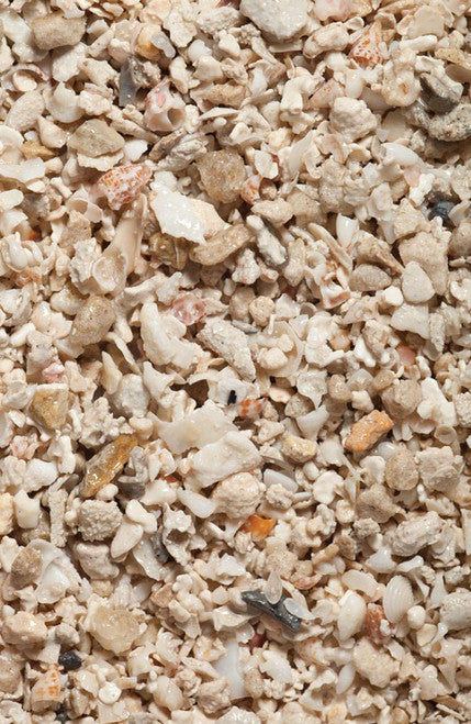 CaribSea Geo-Marine Florida Crushed Coral Substrate 10 lb - Image 2