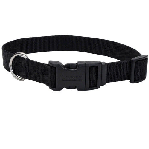 Coastal Adjustable Nylon Dog Collar with Plastic Buckle Black 3/4 in x 14-20 in - Image 2