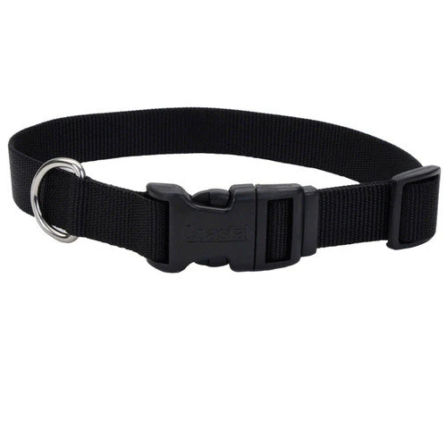 Coastal Adjustable Nylon Dog Collar with Plastic Buckle Black 3/8 in x 8-12 in - Image 2