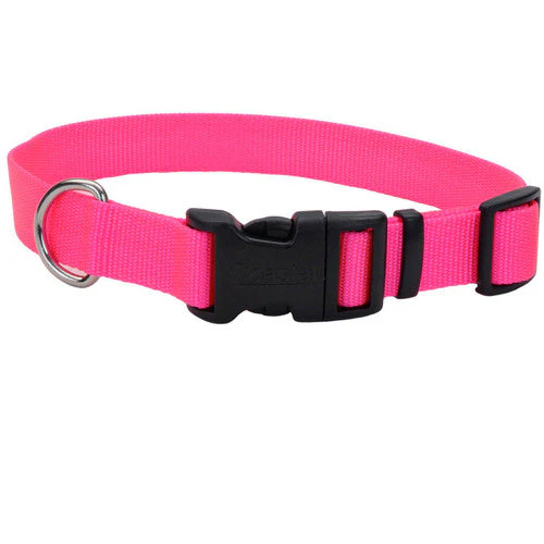 Coastal Adjustable Nylon Dog Collar with Plastic Buckle Neon Pink 5/8 in x 10-14 in - Image 2
