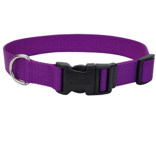 Coastal Adjustable Nylon Dog Collar with Plastic Buckle Purple 3/8 in x 8-12 in - Image 2
