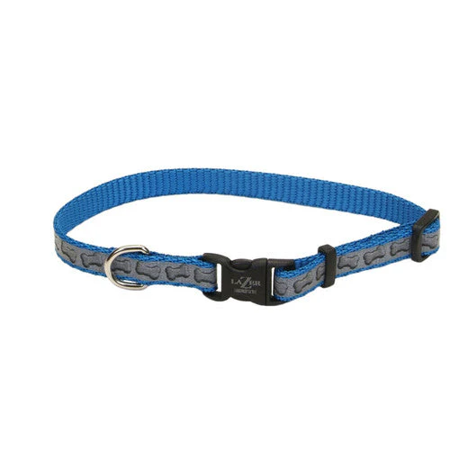 Lazer Brite Reflective Adjustable Dog Collar Turquoise 3/8 in x 8-12 in - Image 2