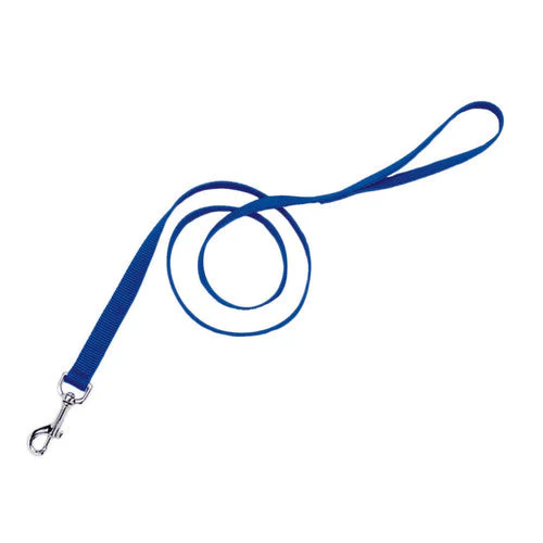 Coastal Single-Ply Nylon Dog Leash Blue 1 in x 6 ft - Image 2