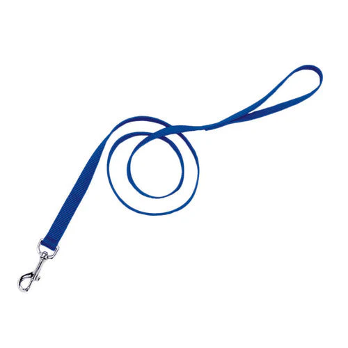 Coastal Single-Ply Nylon Dog Leash Blue 3/4 in x 4 ft - Image 2