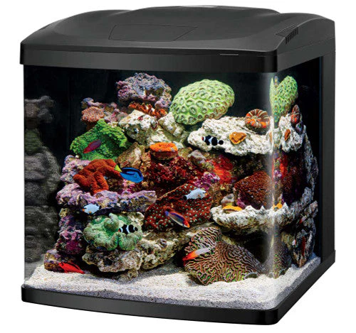 Coralife LED Biocube Marine or Freshwater Aquarium Kit 32 SD-3 - Image 2