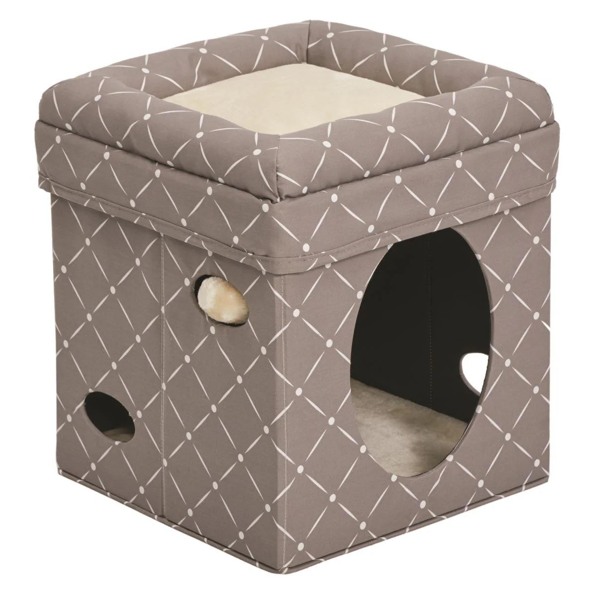 CURIOUS CAT CUBE MUSHROOM {L+1}277420