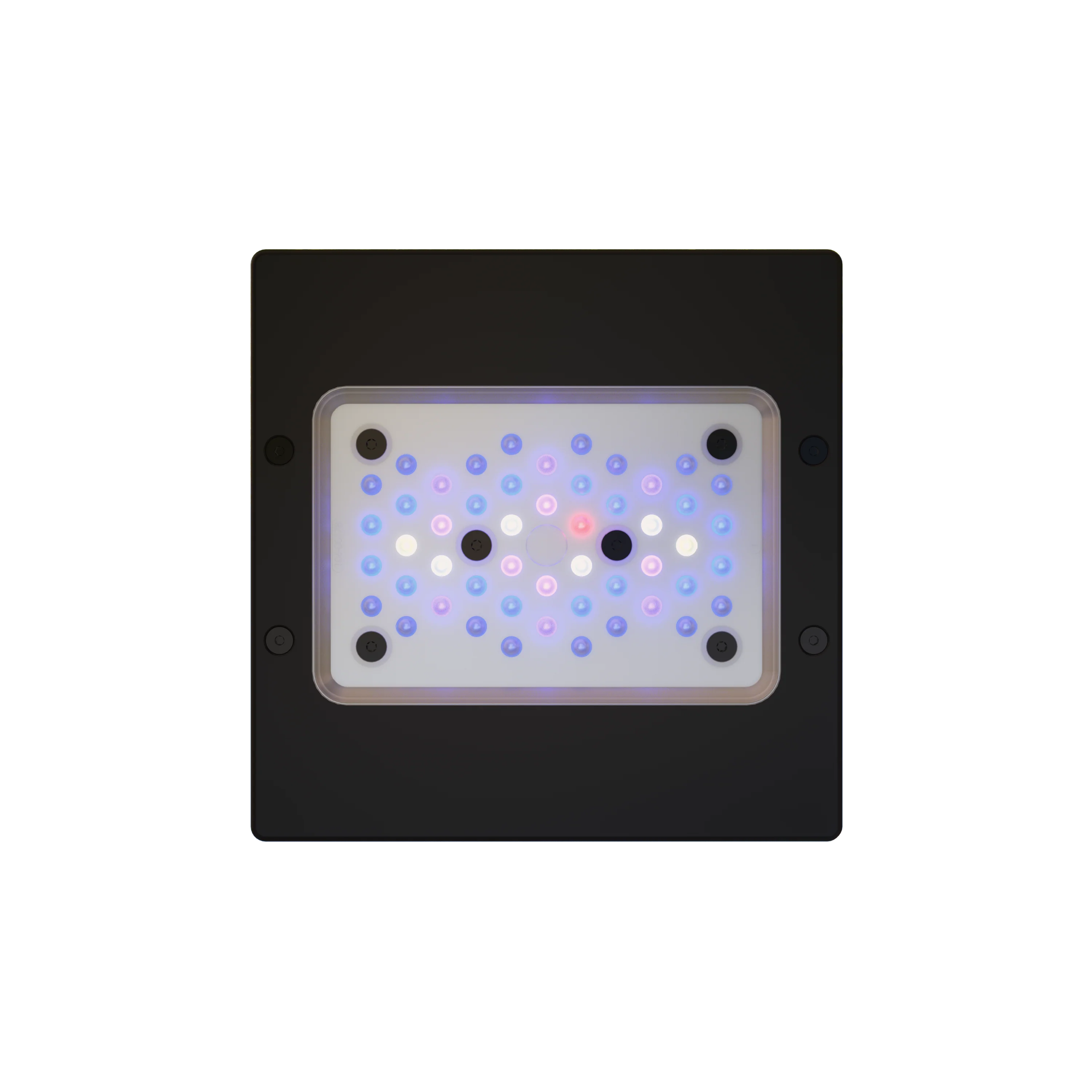 EcoTech Marine Radion XR15 G6 Blue LED Aquarium Light Fixture 95 W