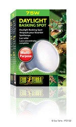 Exo Terra Daylight Basking Spot Lamp 75w Pt2132{L+7}(D)