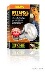 Exo Terra Intense Basking Spot Lamp 50w Pt2135{L+7}