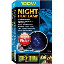 Exo Terra Night Heat Lamp 100w Pt2058{L+7RR} - Image 2
