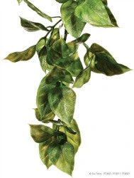 Exo Terra Plastic Plant Small Amapallo Pt3001{L+7}