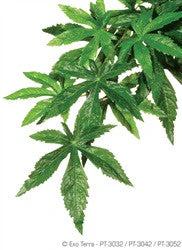 Exo Terra Silk Plant Small Abutilon Pt3032{L+7}