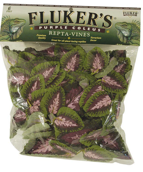 Fluker's Purple Coleus Repta-Vines Green, Purple 6 ft - Image 2
