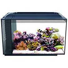 Fluval Sea Evo Aquarium Kit, 12 Gal 10531