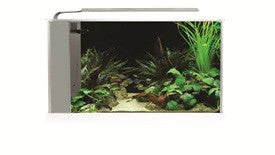 Fluval Spec V 5gal White 10518