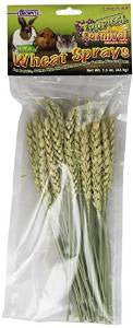 FM Brown Tropical Carnival Wheat Spray 1.5z {L+1} 423206 (DD) - Image 2