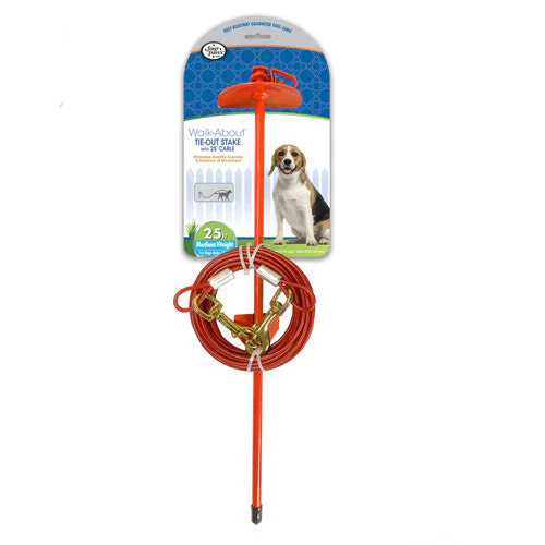 Four Paws Roam About Dog Tie Out Stake with Cable Red 25 Feet - Image 2