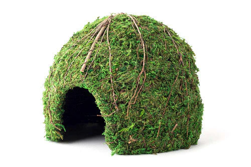 Galapagos Mossy Dome Terrarium Hideaway Fresh Green 9 in - Image 2