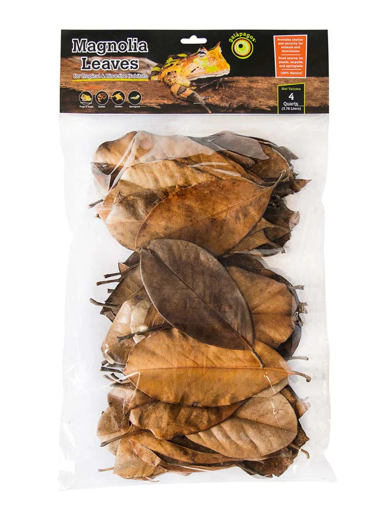 Galapagos Magnolia Leaves for Tropical & Bioactive Habitats Brown 4 qt