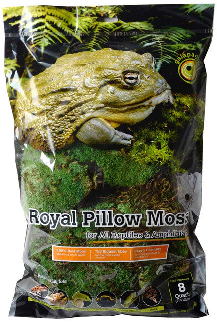 Galapagos Royal Pillow Moss for Tropical & Forest Tanks Fresh Green 8 qt - Image 2