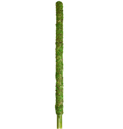 Galapagos Mossy Perch Terrarium Ornament Fresh Green 24 in - Image 2