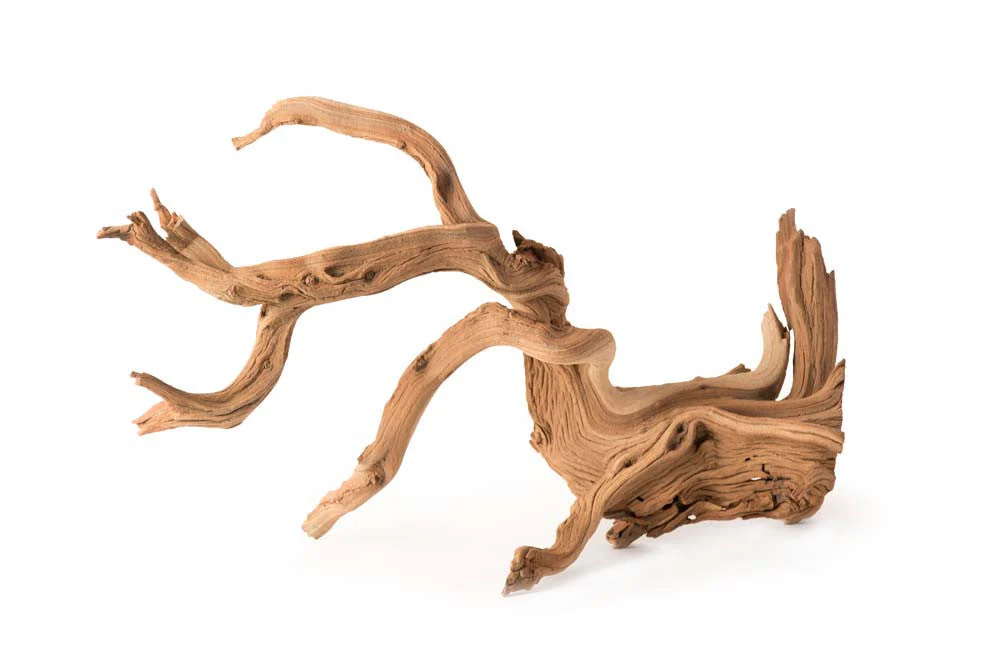Galapagos Staghorn Wood Manzanita Root Brown 19 in - 24 in