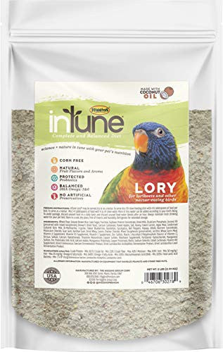 Higgins Intune Food For Lorikeets 2# C=6