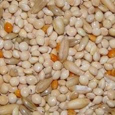 Higgins Supreme for Parakeets 50lb {L-1}466452