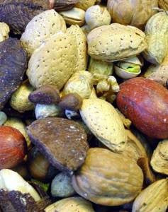 Higgins Sunburst Boca Nuts Shelled Treat 20lb {L-1}466703 - Image 2