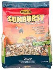 Higgins Sunburst Conure 25lb {L-1}466185